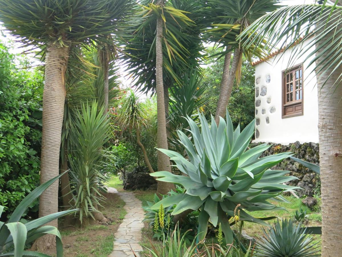 La Casita De La Vega Apartment อิคอดเดลอสวินอส ภายนอก รูปภาพ