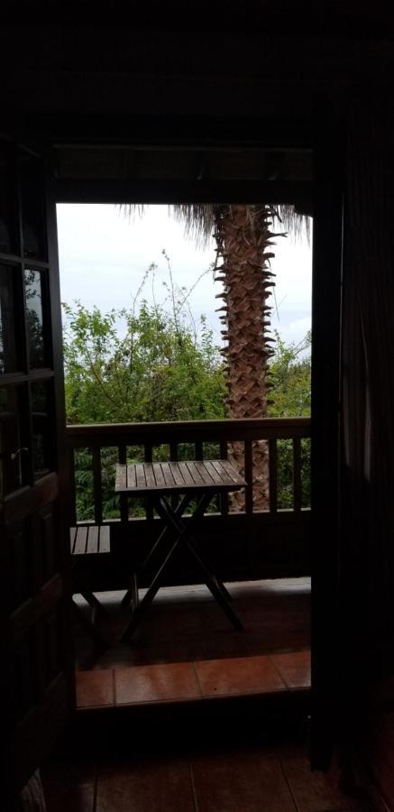 La Casita De La Vega Apartment อิคอดเดลอสวินอส ภายนอก รูปภาพ
