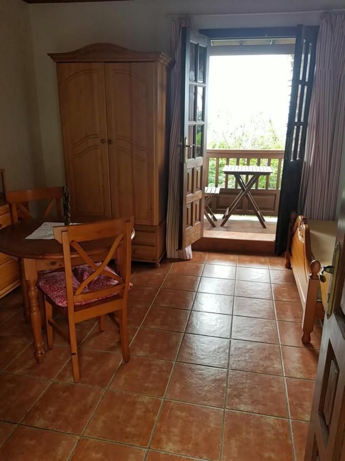 La Casita De La Vega Apartment อิคอดเดลอสวินอส ภายนอก รูปภาพ