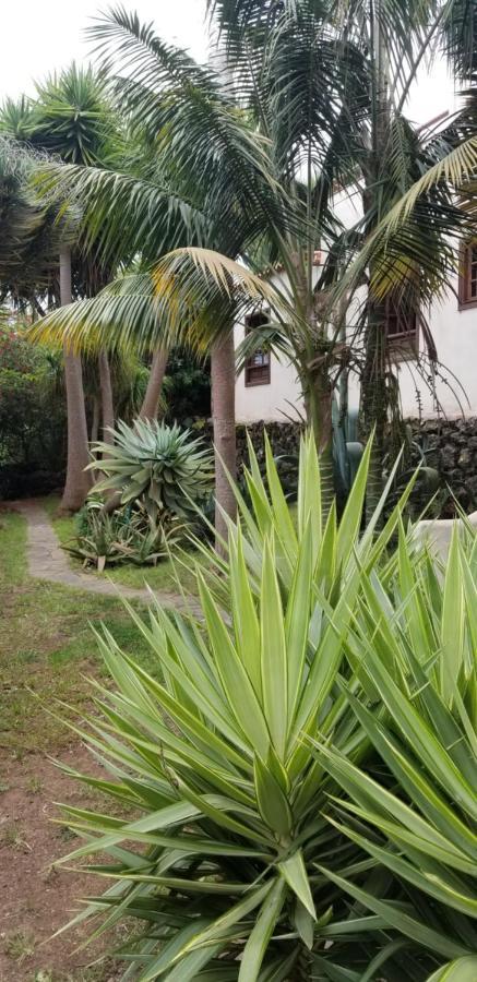 La Casita De La Vega Apartment อิคอดเดลอสวินอส ภายนอก รูปภาพ