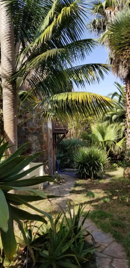 La Casita De La Vega Apartment อิคอดเดลอสวินอส ภายนอก รูปภาพ