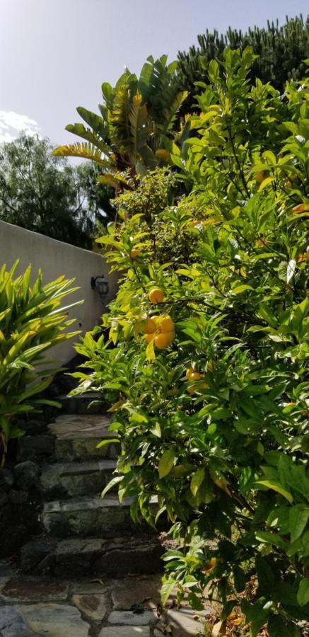 La Casita De La Vega Apartment อิคอดเดลอสวินอส ภายนอก รูปภาพ
