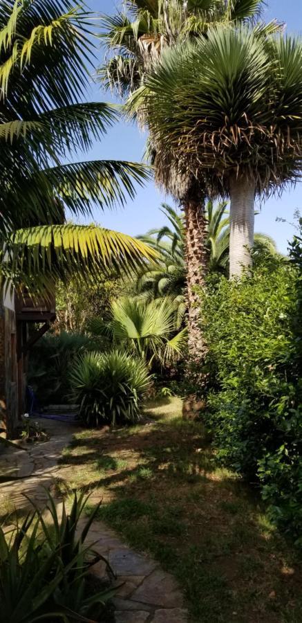 La Casita De La Vega Apartment อิคอดเดลอสวินอส ภายนอก รูปภาพ
