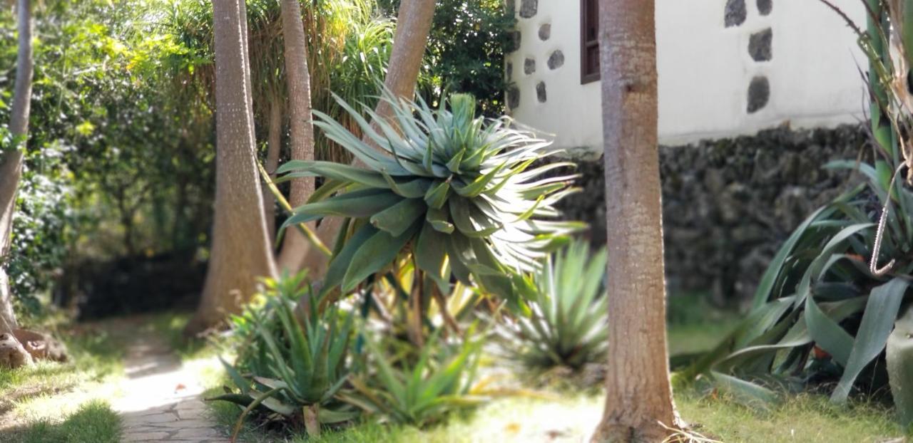 La Casita De La Vega Apartment อิคอดเดลอสวินอส ภายนอก รูปภาพ