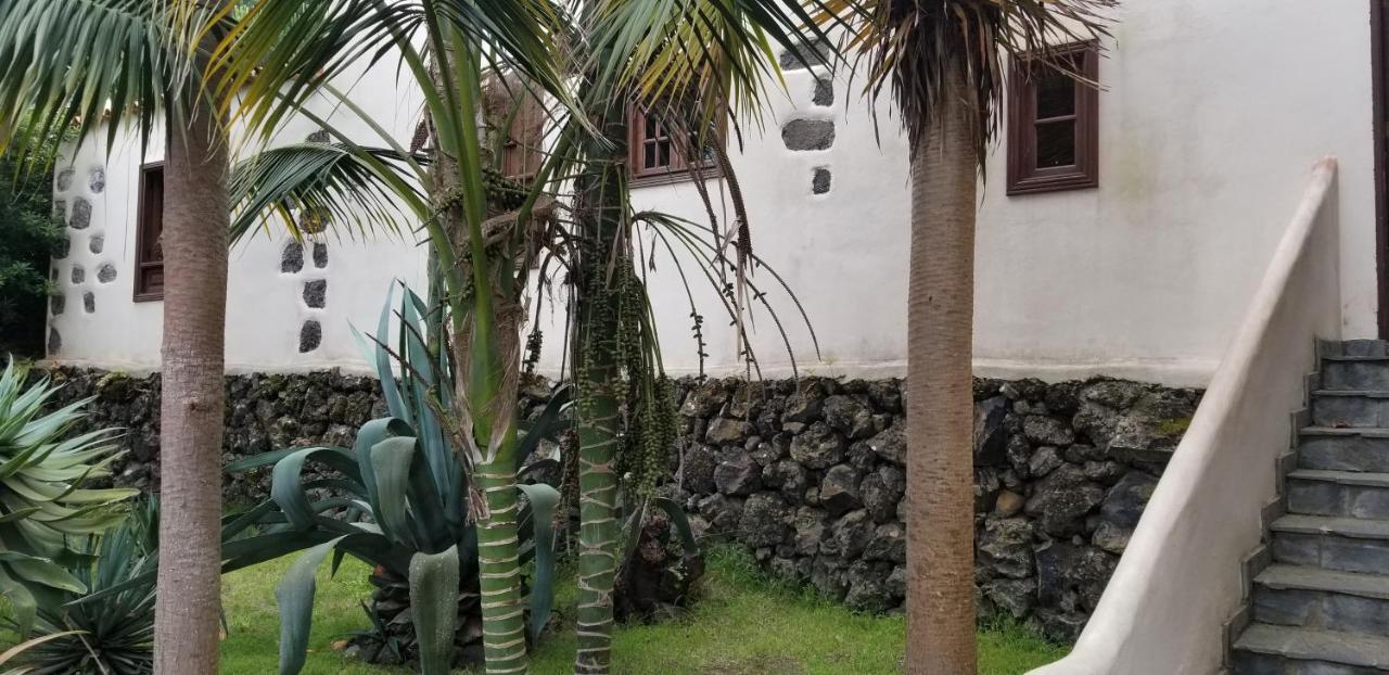 La Casita De La Vega Apartment อิคอดเดลอสวินอส ภายนอก รูปภาพ