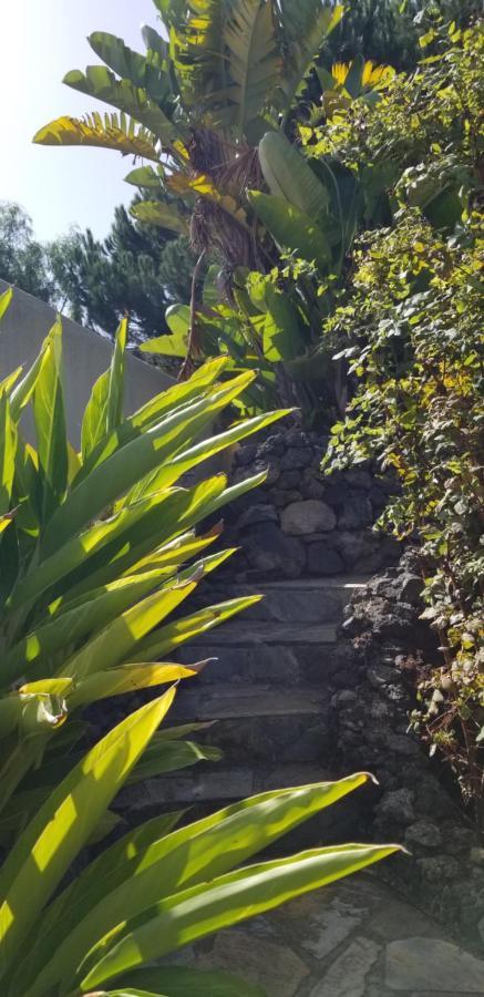 La Casita De La Vega Apartment อิคอดเดลอสวินอส ภายนอก รูปภาพ