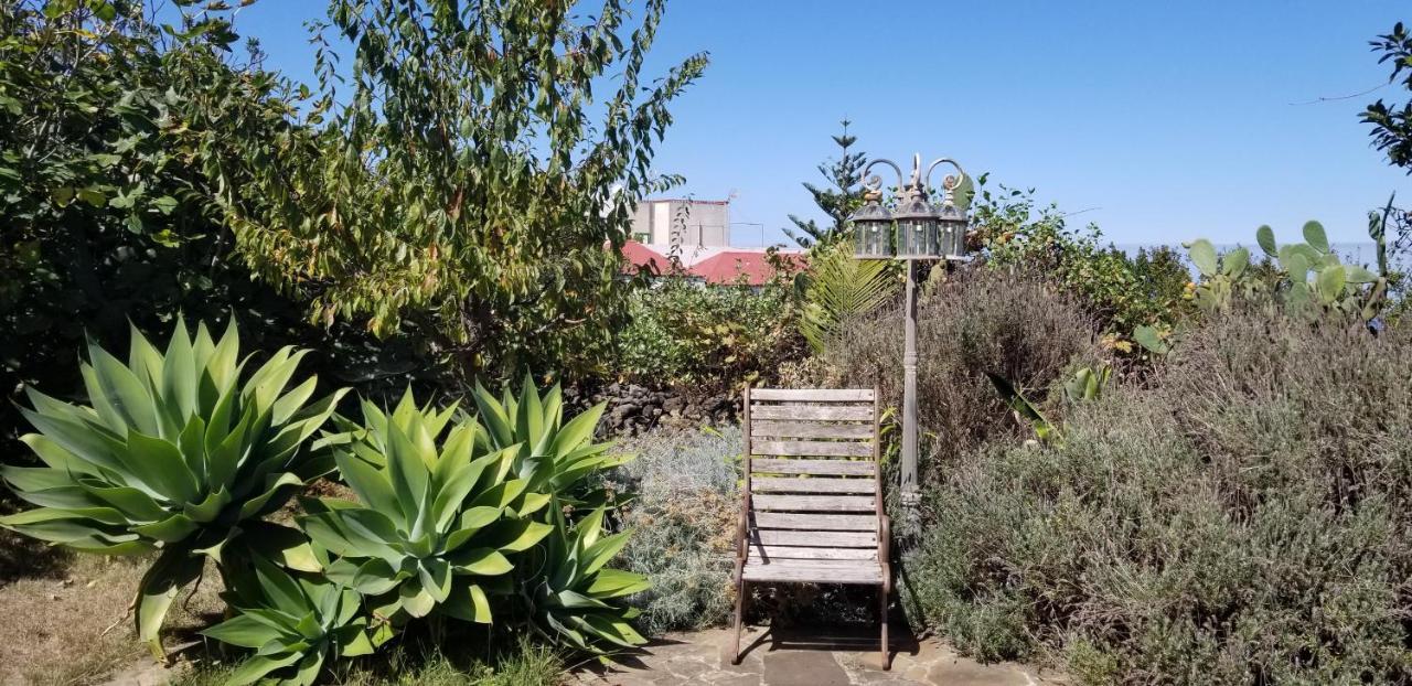 La Casita De La Vega Apartment อิคอดเดลอสวินอส ภายนอก รูปภาพ
