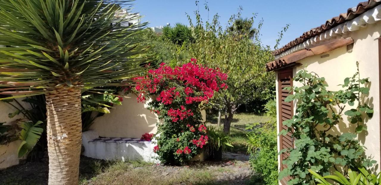 La Casita De La Vega Apartment อิคอดเดลอสวินอส ภายนอก รูปภาพ